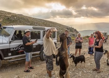 Safari Club Land Rover Jeep Safari Minoan Route