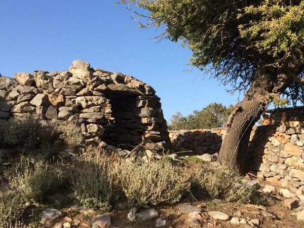 Traditional Chania