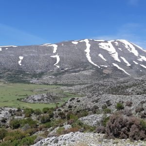 Nida Route
